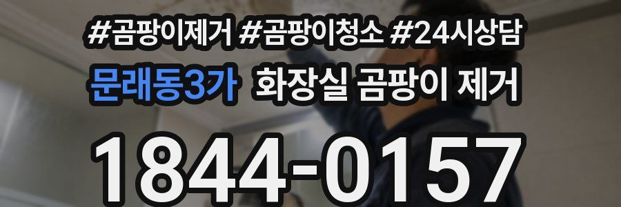 문래동3가 화장실 곰팡이 제거