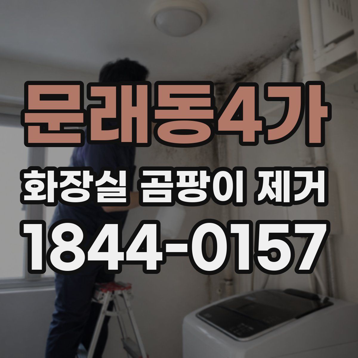 문래동4가 화장실 곰팡이 제거