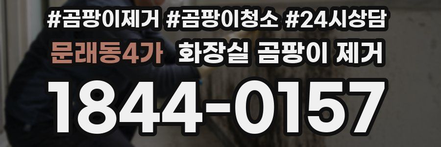 문래동4가 화장실 곰팡이 제거