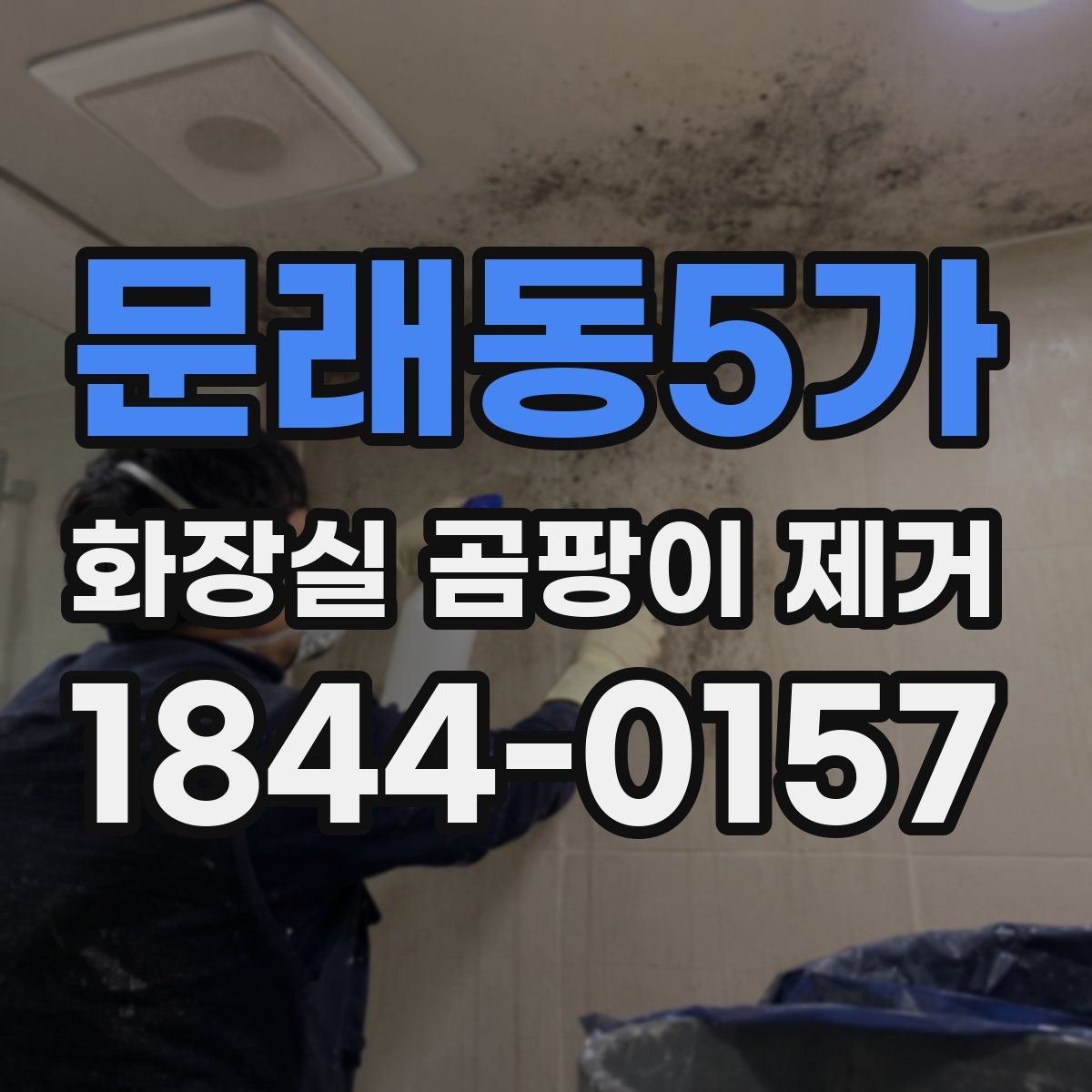 문래동5가 화장실 곰팡이 제거