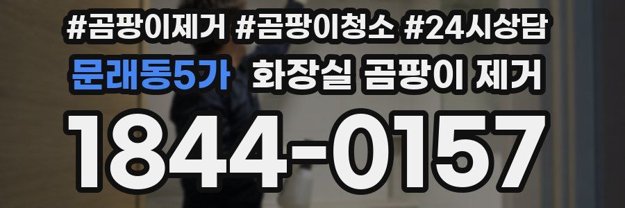 문래동5가 화장실 곰팡이 제거