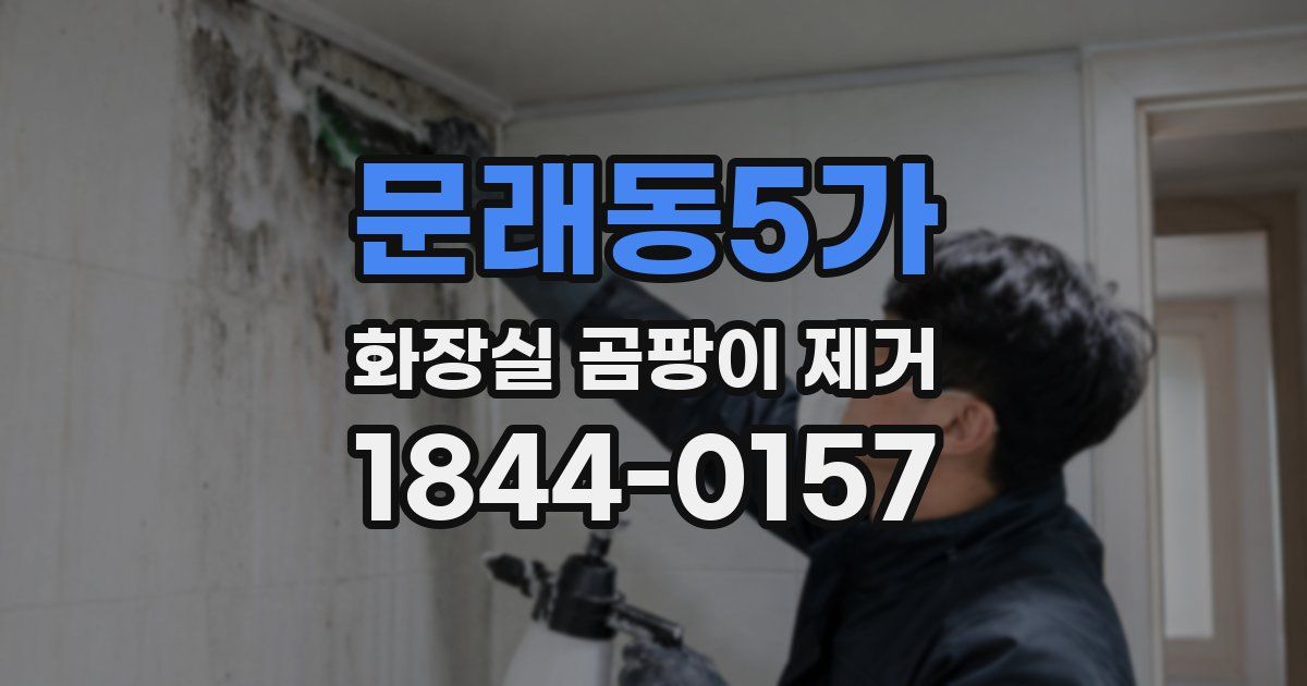 문래동5가 화장실 곰팡이 제거