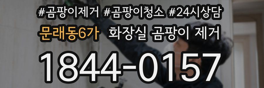 문래동6가 화장실 곰팡이 제거