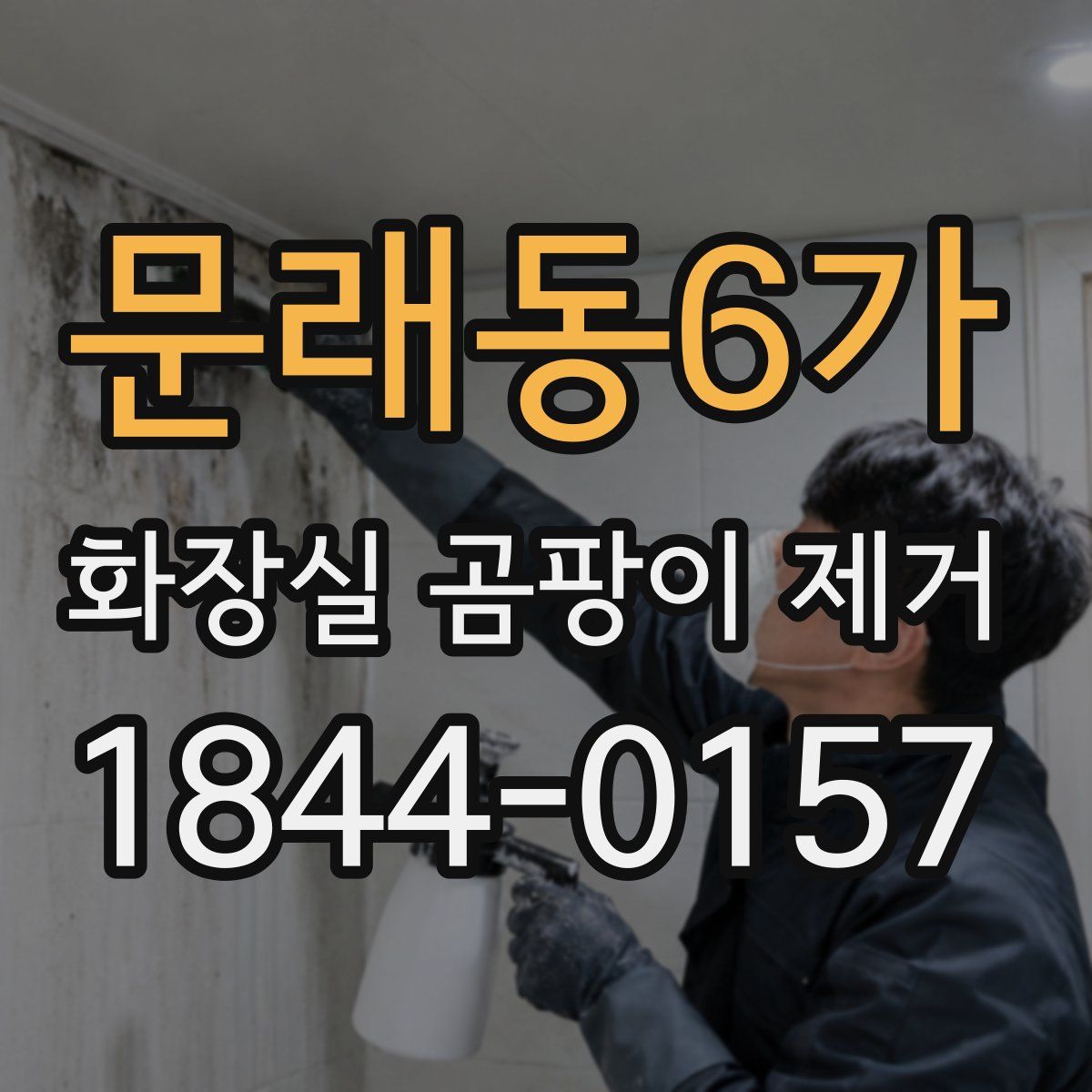 문래동6가 화장실 곰팡이 제거