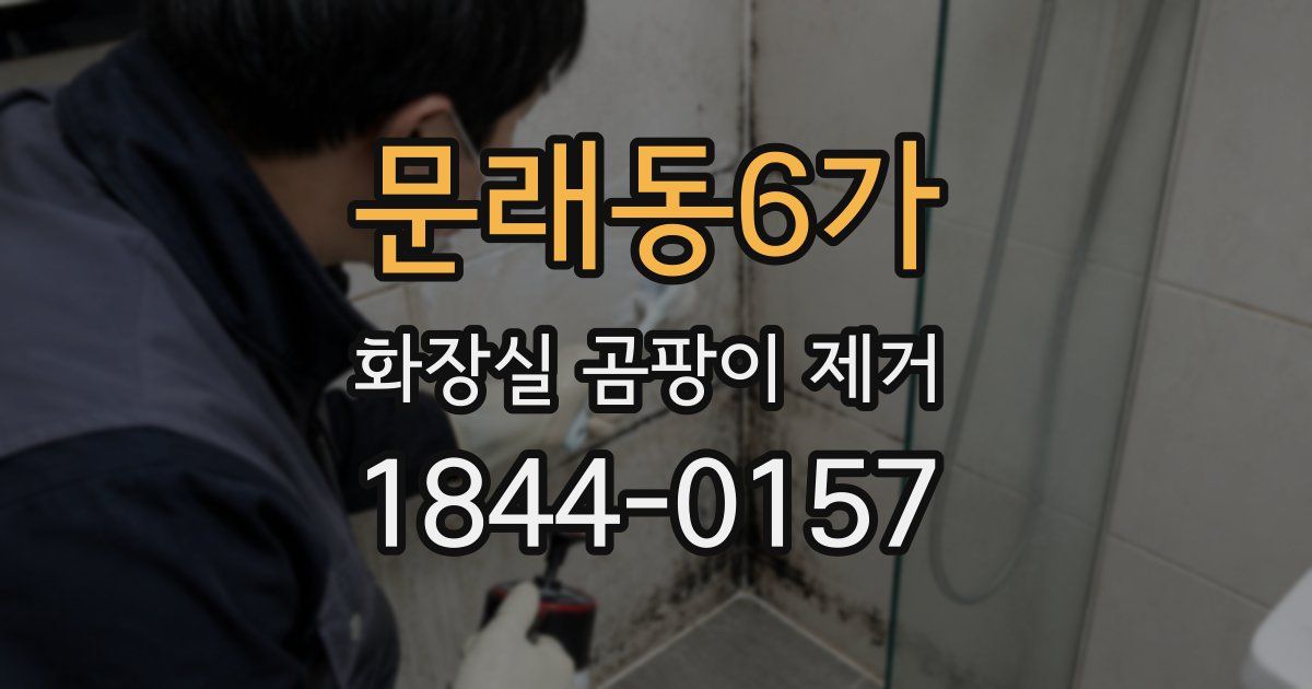 문래동6가 화장실 곰팡이 제거