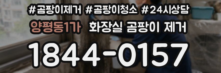 양평동1가 화장실 곰팡이 제거