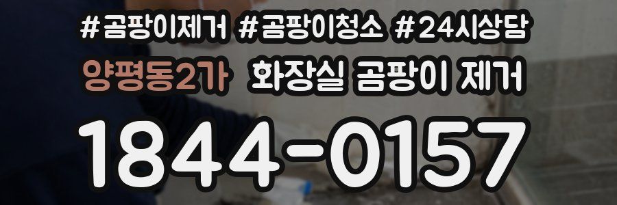 양평동2가 화장실 곰팡이 제거