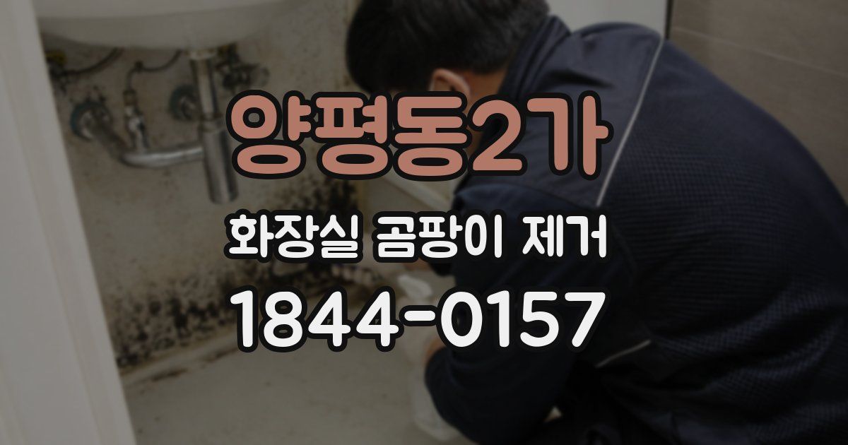 양평동2가 화장실 곰팡이 제거