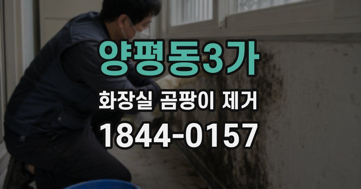 양평동3가 화장실 곰팡이 제거