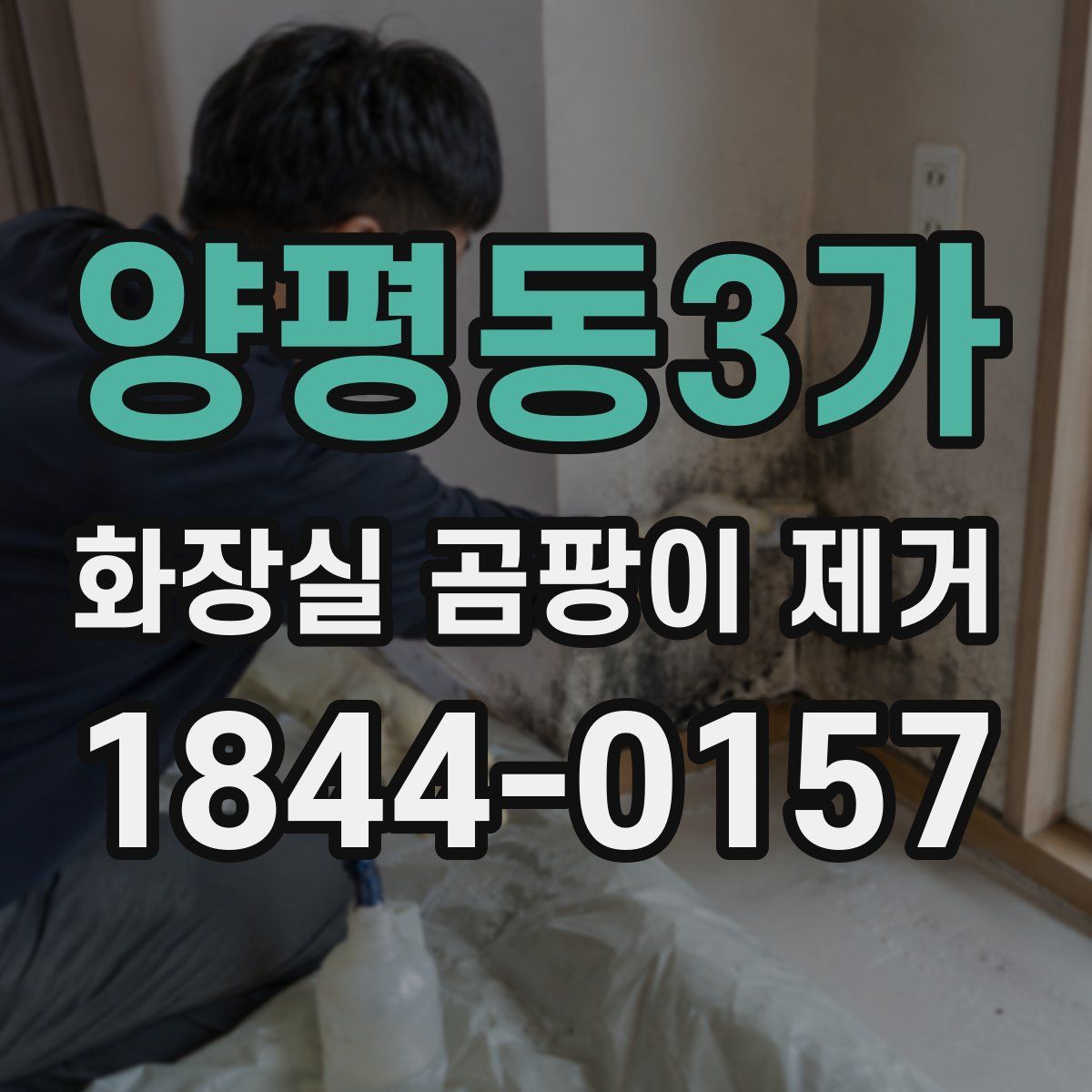 양평동3가 화장실 곰팡이 제거
