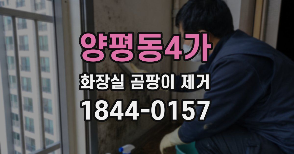 양평동4가 화장실 곰팡이 제거