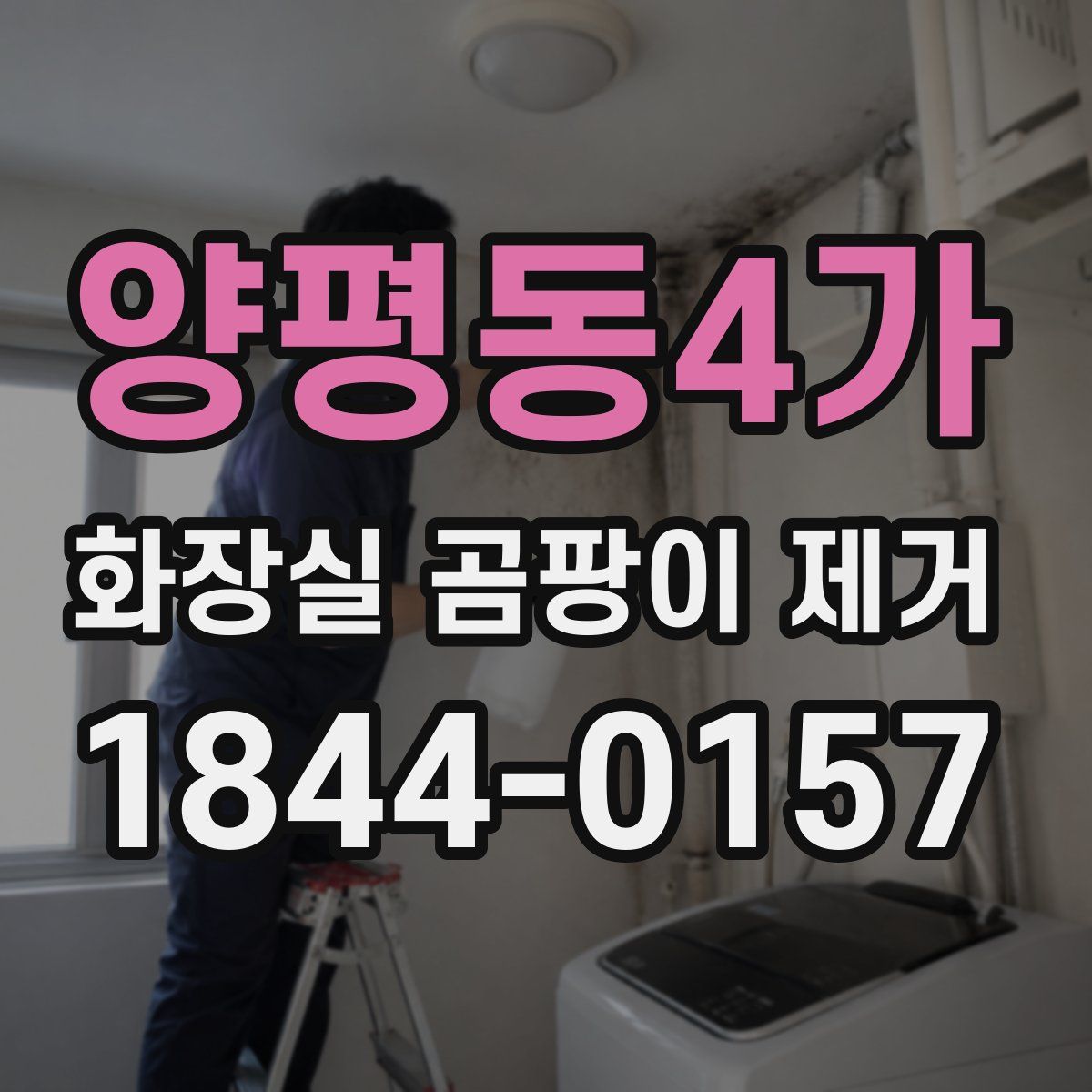 양평동4가 화장실 곰팡이 제거