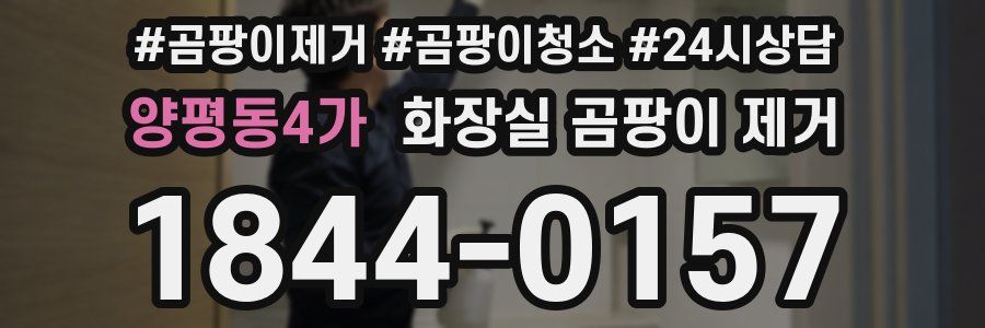 양평동4가 화장실 곰팡이 제거