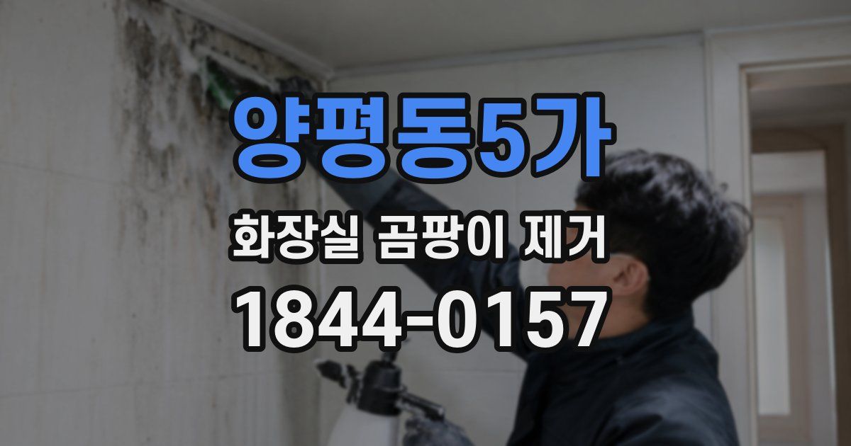양평동5가 화장실 곰팡이 제거