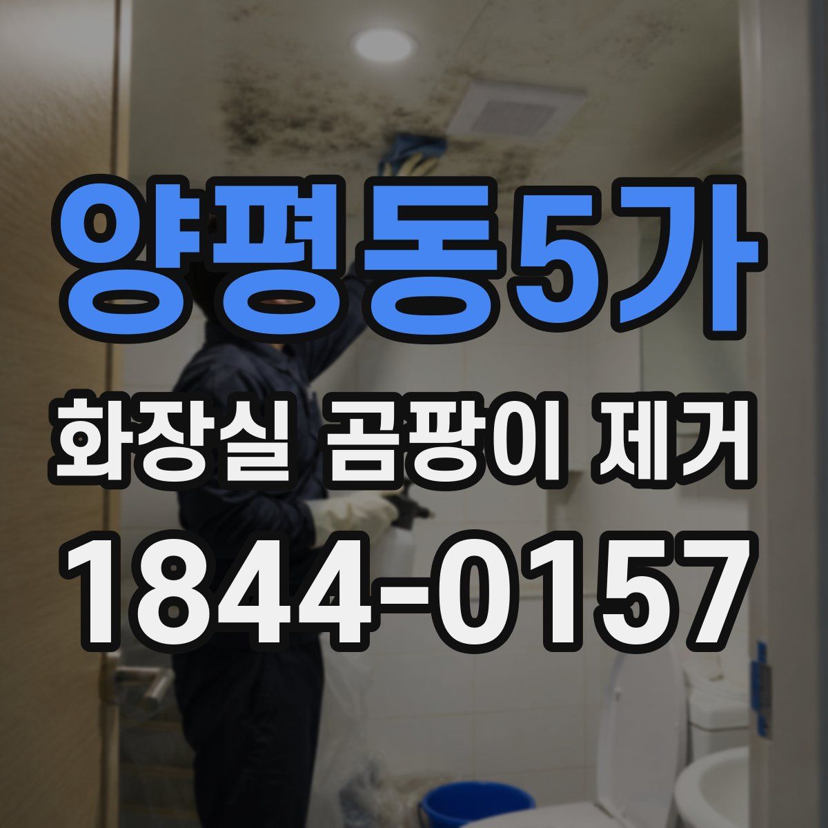 양평동5가 화장실 곰팡이 제거