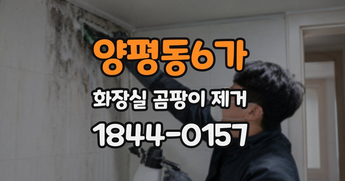 양평동6가 화장실 곰팡이 제거
