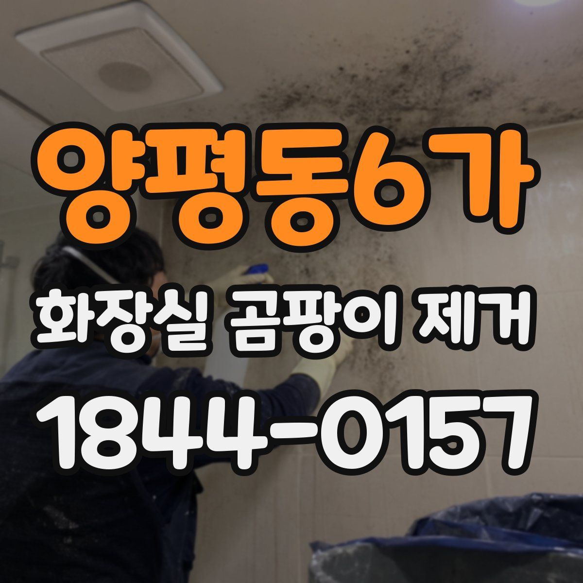 양평동6가 화장실 곰팡이 제거