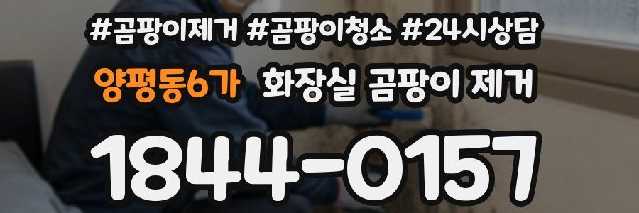 양평동6가 화장실 곰팡이 제거