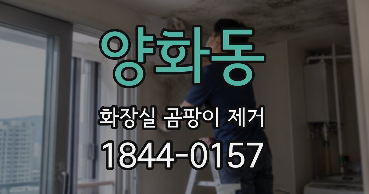 양화동 화장실 곰팡이 제거