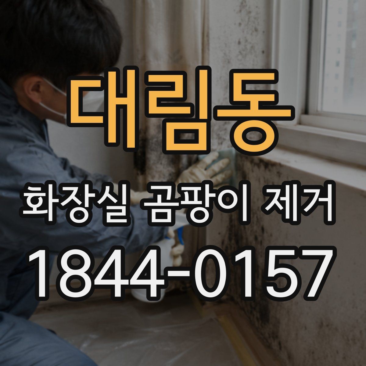 대림동 화장실 곰팡이 제거 세입자와 집주인이 나눠 볼 체크포인트