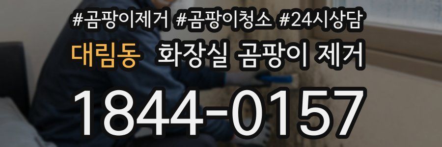 대림동 화장실 곰팡이 제거