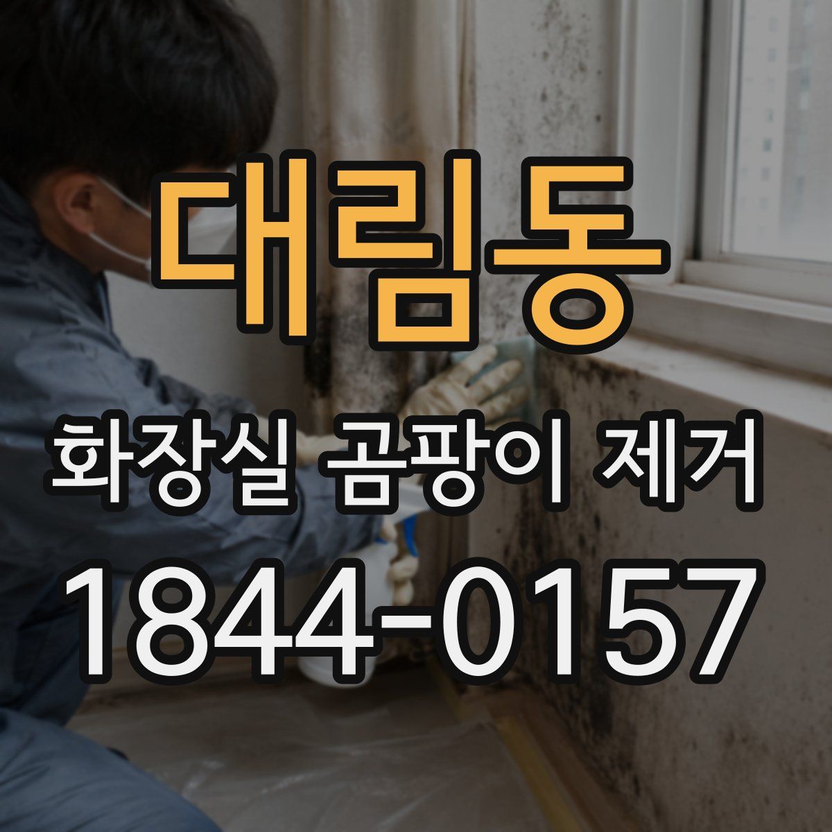대림동 화장실 곰팡이 제거