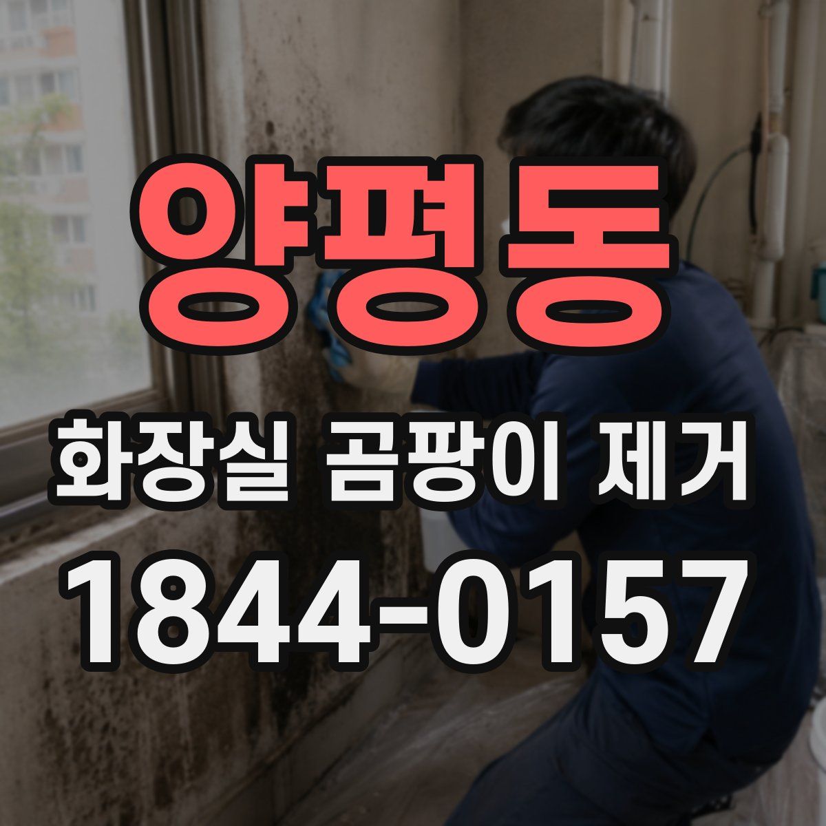 양평동 화장실 곰팡이 제거