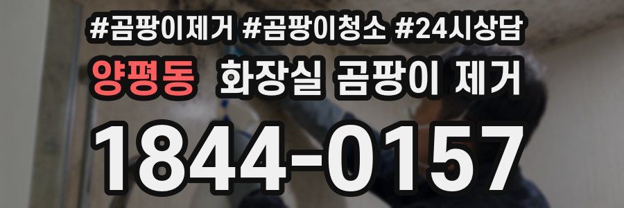 양평동 화장실 곰팡이 제거