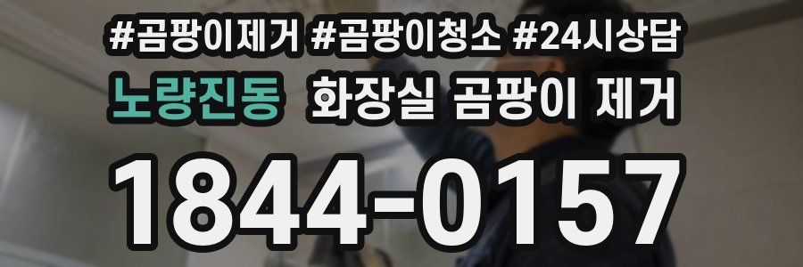 노량진동 화장실 곰팡이 제거