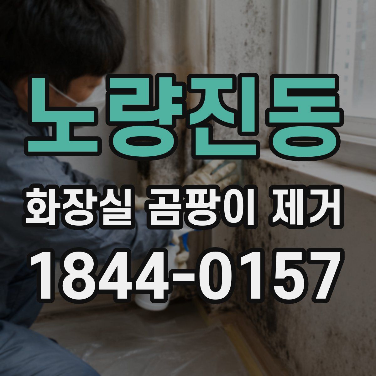 노량진동 화장실 곰팡이 제거