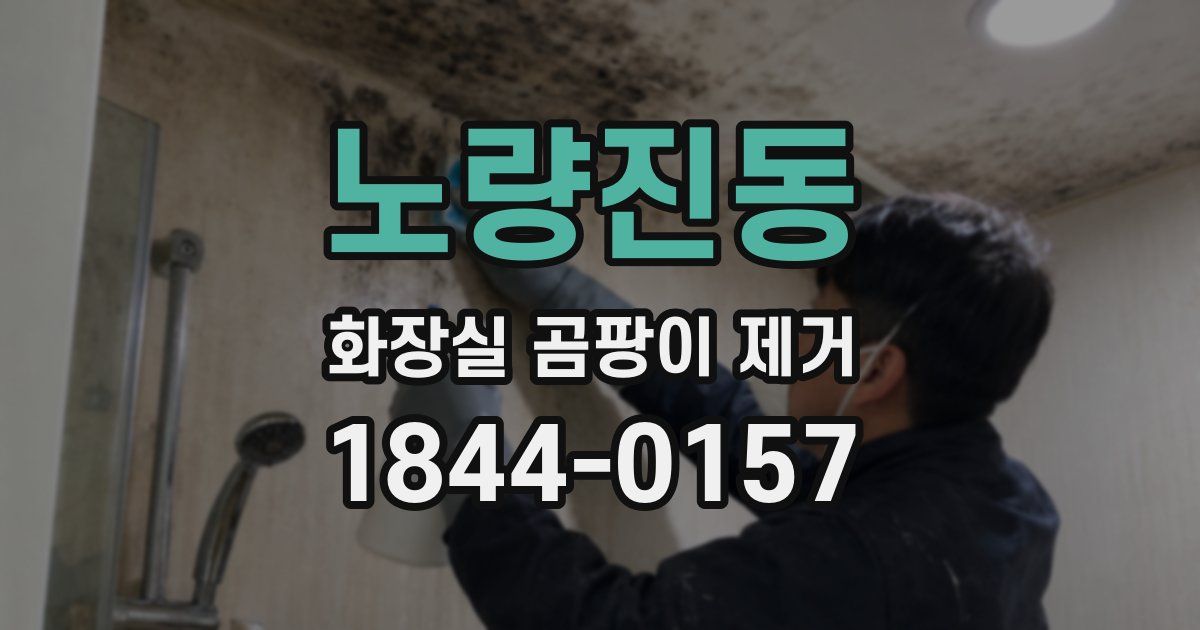 노량진동 화장실 곰팡이 제거