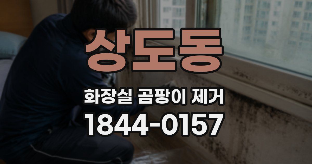 상도동 화장실 곰팡이 제거