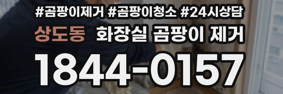 상도동 화장실 곰팡이 제거