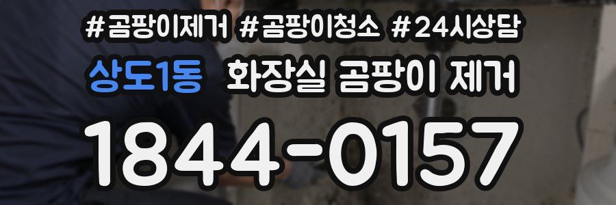 상도1동 화장실 곰팡이 제거