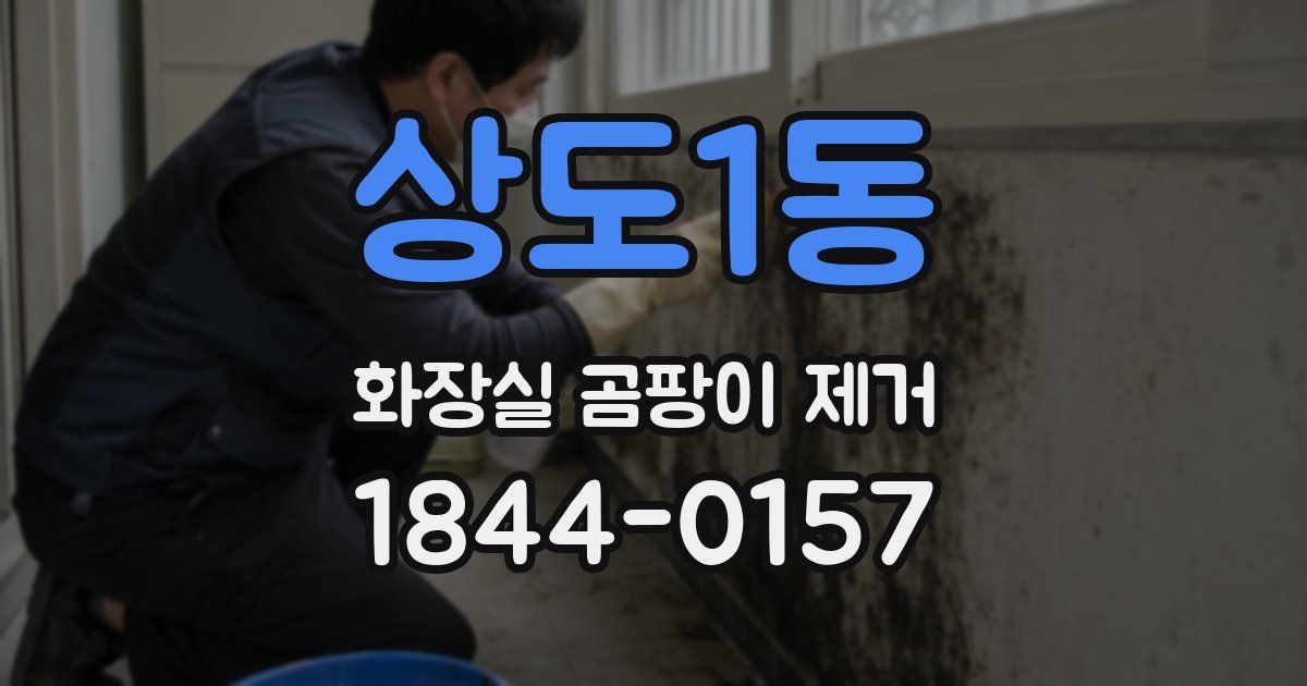 상도1동 화장실 곰팡이 제거