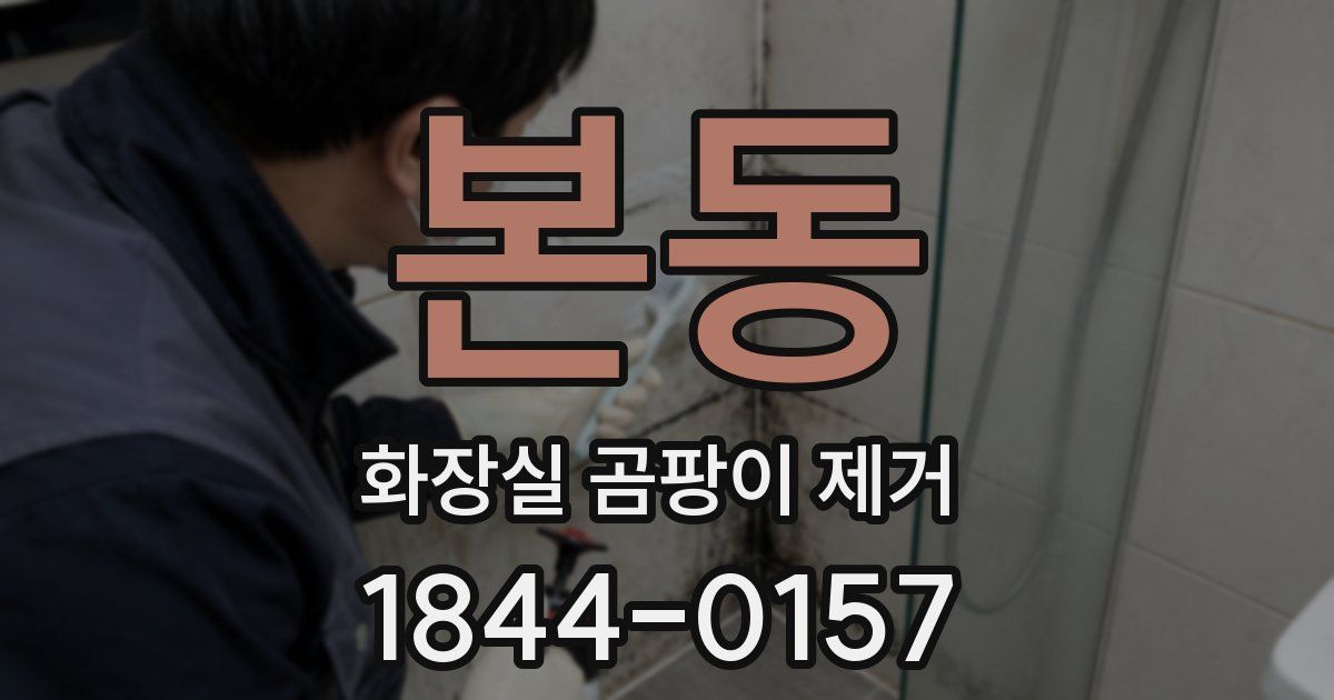 본동 화장실 곰팡이 제거