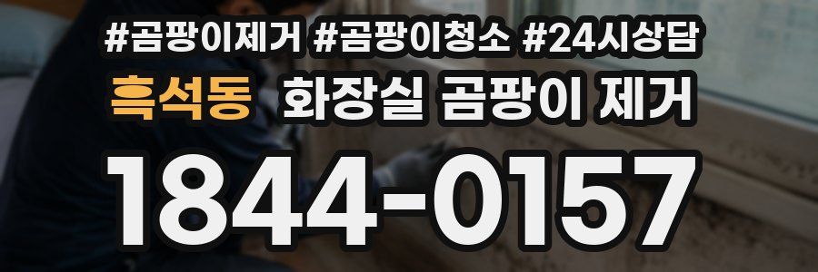 흑석동 화장실 곰팡이 제거