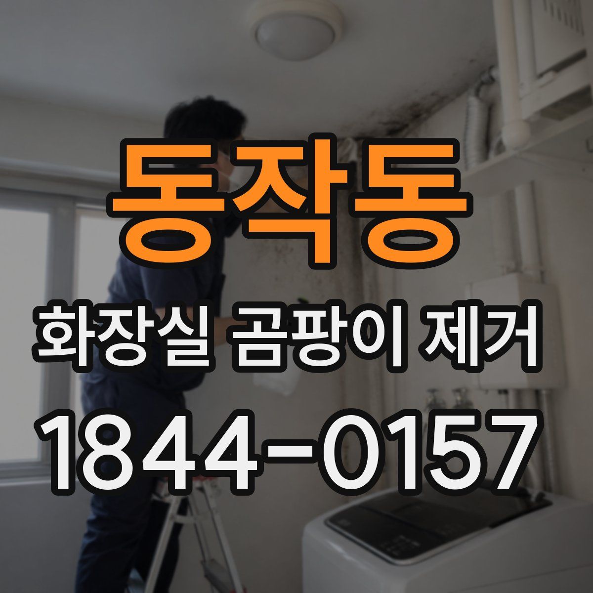 동작동 화장실 곰팡이 제거