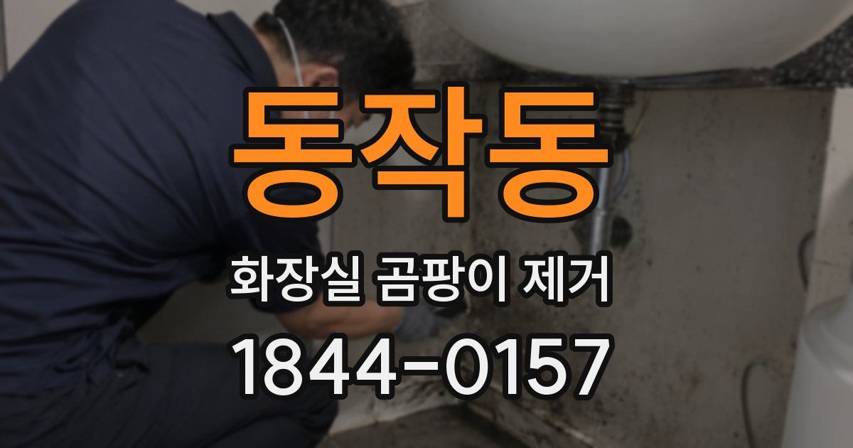 동작동 화장실 곰팡이 제거