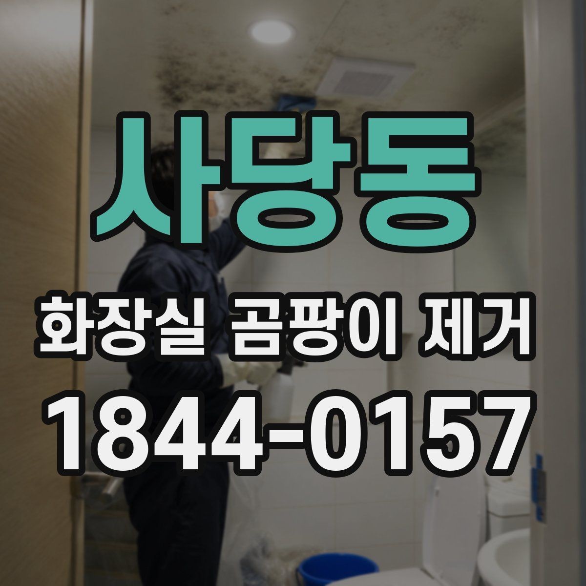 사당동 화장실 곰팡이 제거 일반 오염과 검은 얼룩 구분하는 법