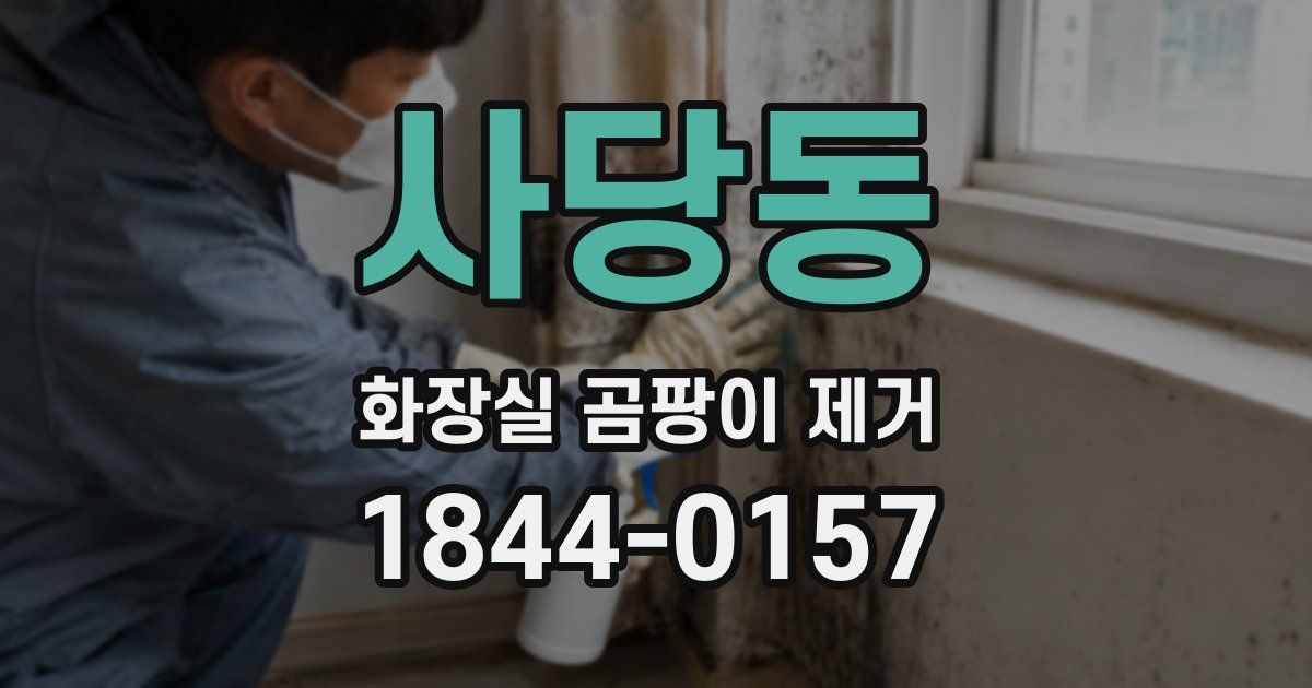 사당동 화장실 곰팡이 제거