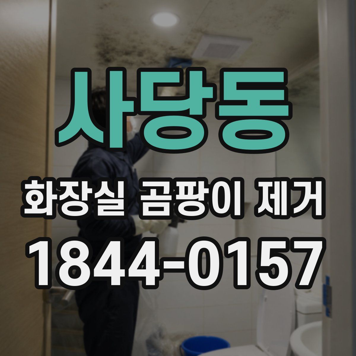 사당동 화장실 곰팡이 제거