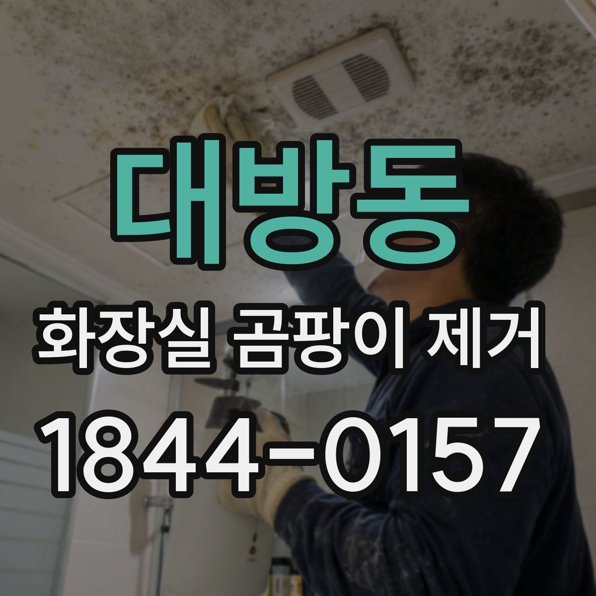 대방동 화장실 곰팡이 제거