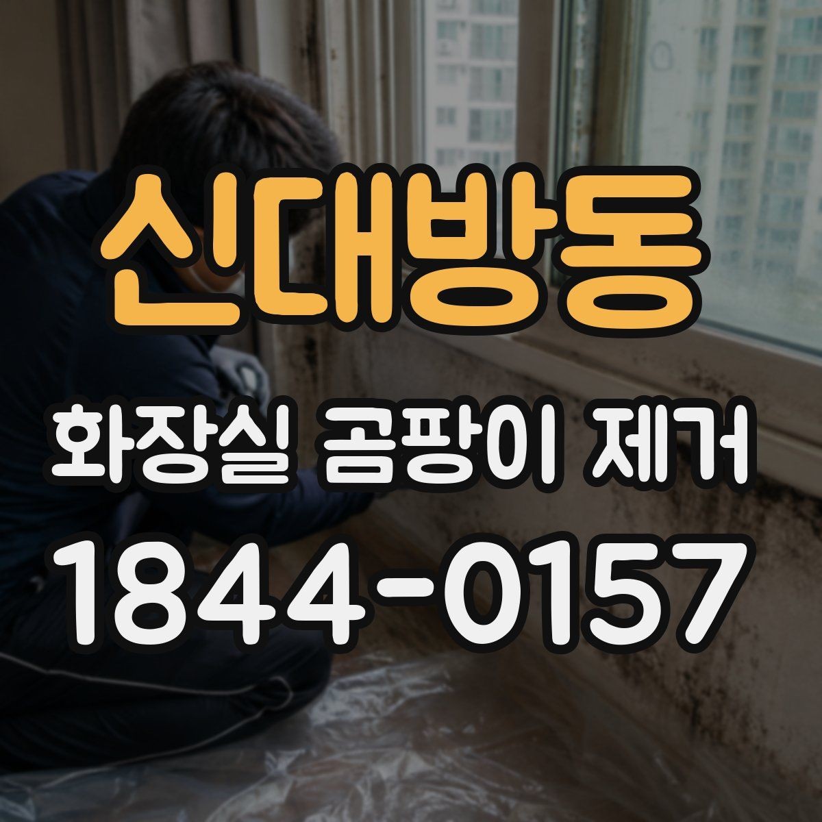 신대방동 화장실 곰팡이 제거 벽면 변색이 환기 문제인지 살피기