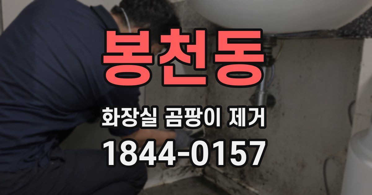 봉천동 화장실 곰팡이 제거