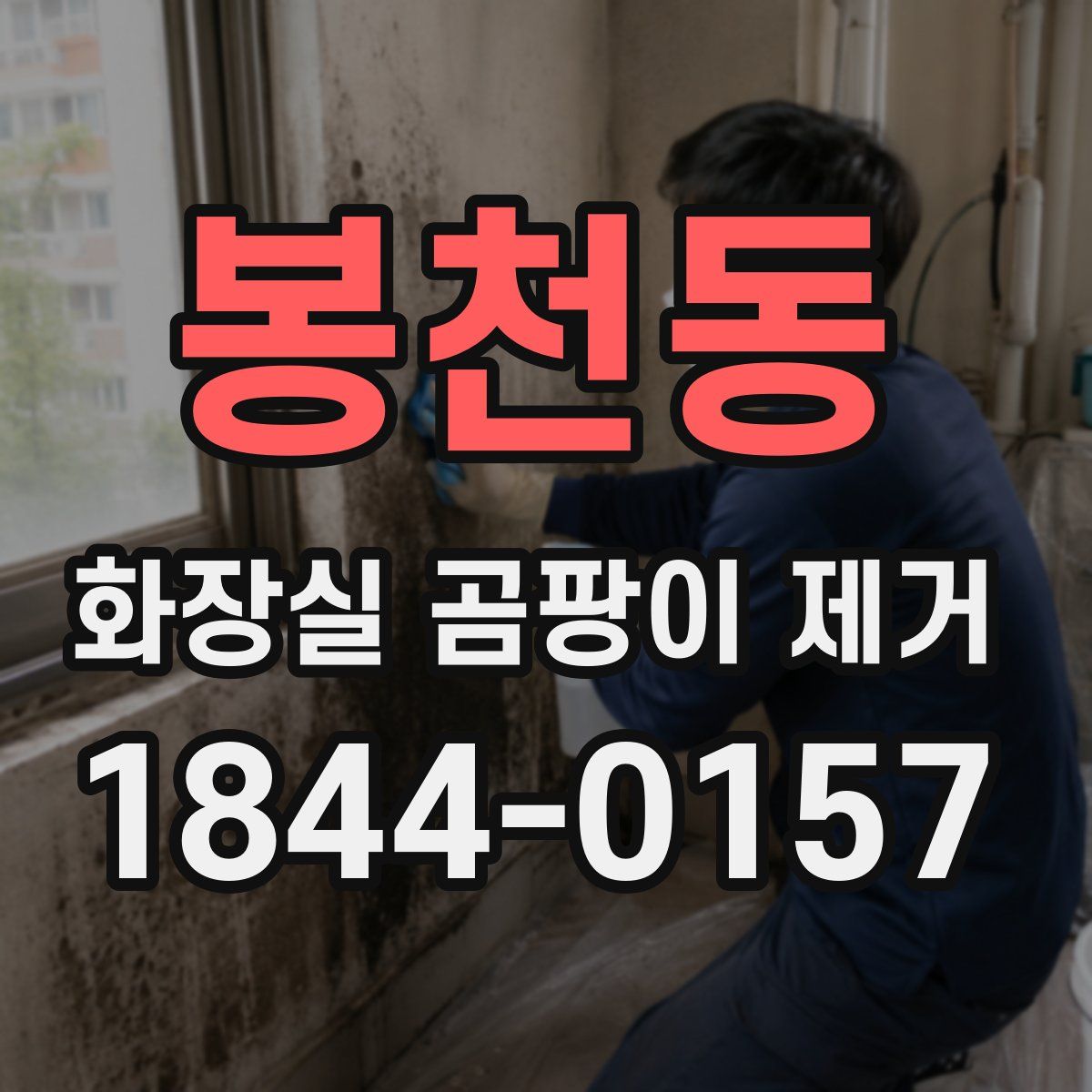 봉천동 화장실 곰팡이 제거