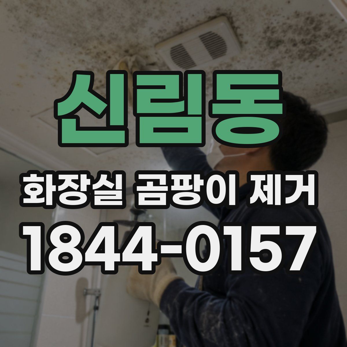 신림동 화장실 곰팡이 제거