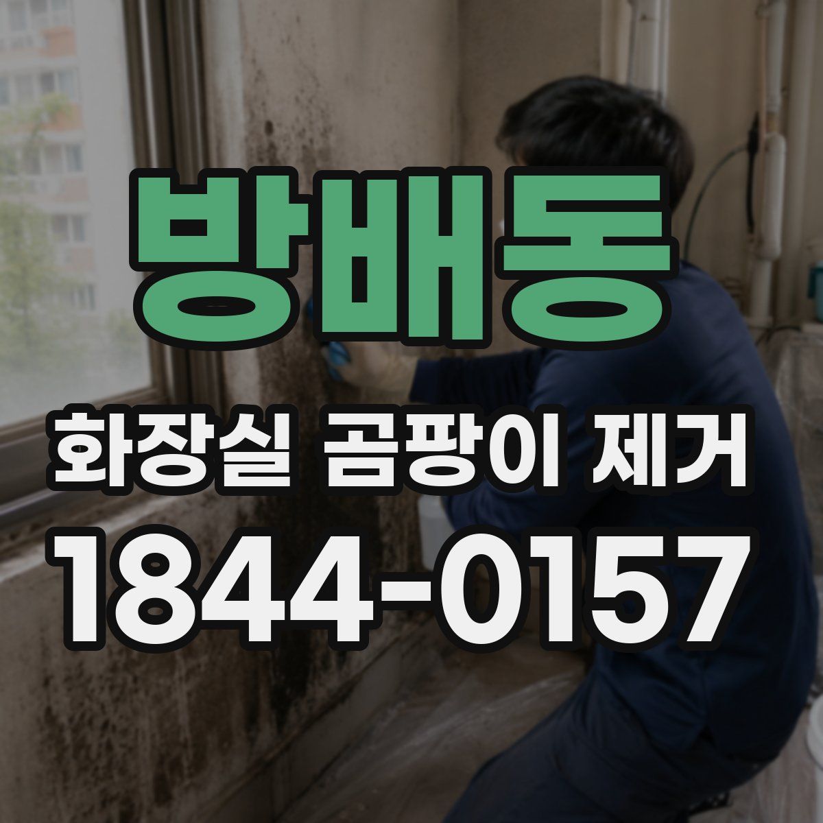 방배동 화장실 곰팡이 제거