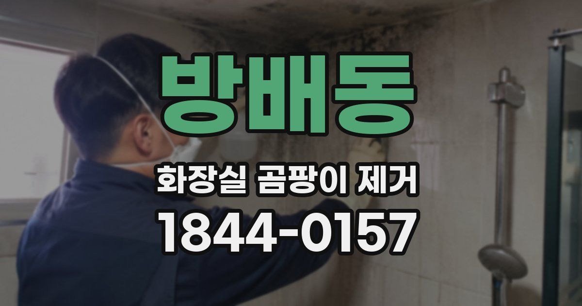 방배동 화장실 곰팡이 제거
