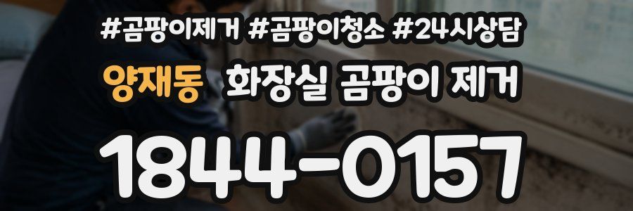 양재동 화장실 곰팡이 제거